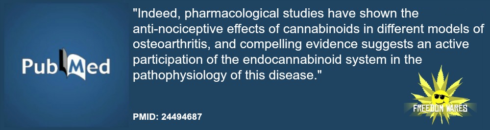 Involvement of the endocannabinoid system in osteoarthritis pain. site