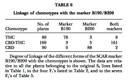 Table 6 genetics