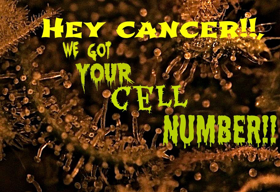 hey cancer we got your cell number