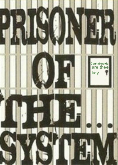 prisoner of the system2
