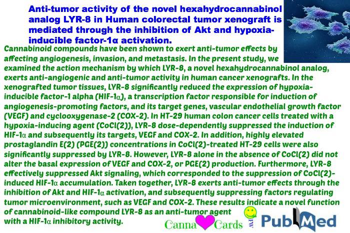 Anti-tumor activity of the novel hexahydrocannabinol analog LYR-8 in Human colorectal tumor xenograft is mediated through the inhibition of Akt and hypoxia-inducible factor-1α activation.