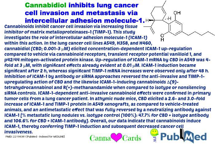 CBD inhibits lung C