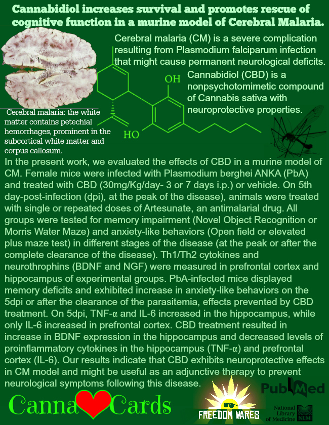 Cannabidiol increases survival and promotes rescue of cognitive function in a murine model of Cerebral Malaria. 101