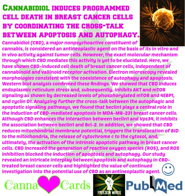 Cannabidiol induces programmed cell death in breast cancer cells by coordinating the cross-talk between apoptosis and autophagy.