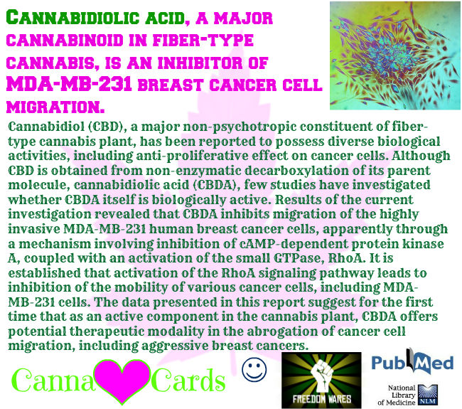 Cannabidiolic acid, a major cannabinoid in fiber-type cannabis, is an inhibitor of MDA-MB-231 breast cancer cell migration.