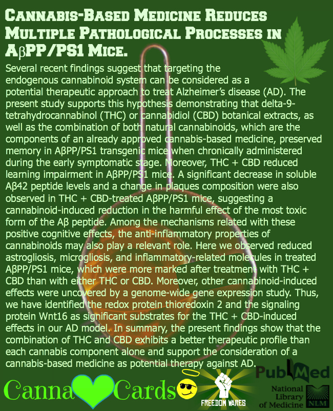 Cannabis-Based Medicine Reduces Multiple Pathological Processes in AβPPPS1 Mice. fb2