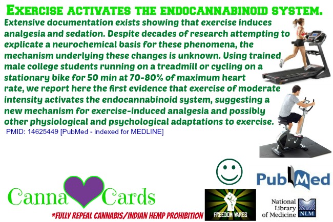 Exercise activates the endocannabinoid system.