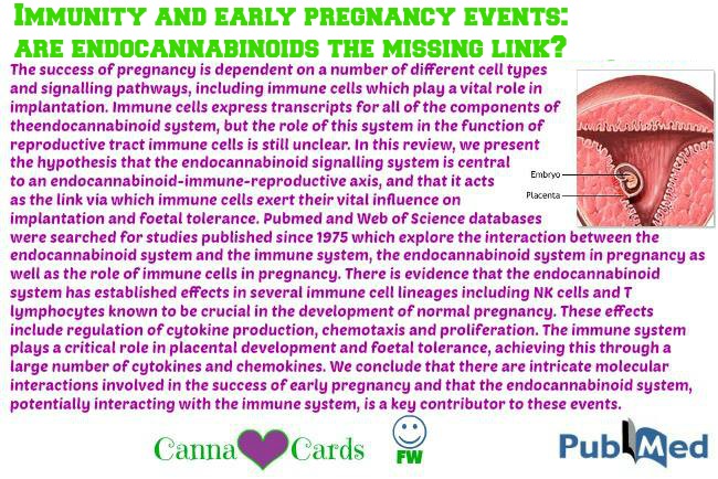 Immunity and early pregnancy events are endocannabinoids the missing link site