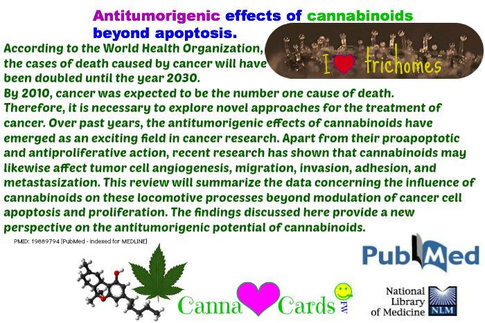 cannabinoids beyond apoptosis