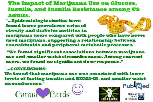 impact of cannabis on insulin etc