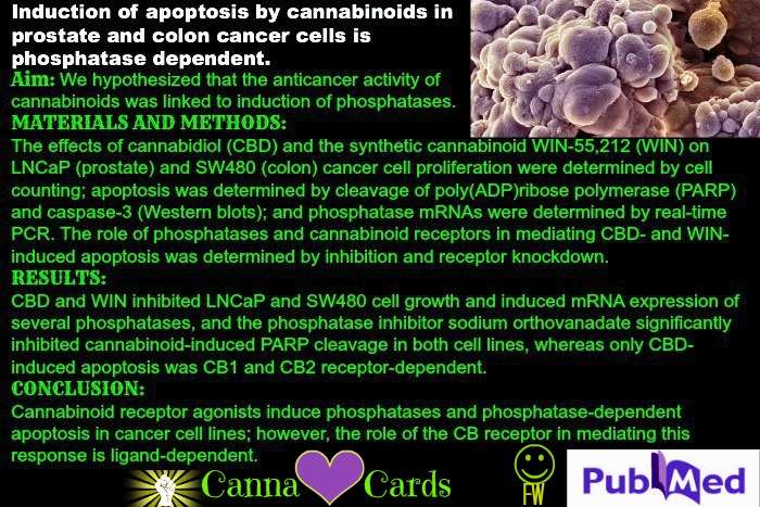 induction of apoptosis via cannabinoids FW site
