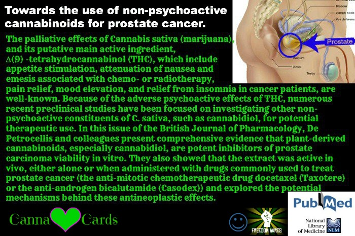 towards the use of non psychoactive…prostate FW site