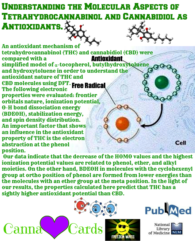 Understanding the Molecular Aspects of Tetrahydrocannabinol and Cannabidiol as Antioxidants. fb