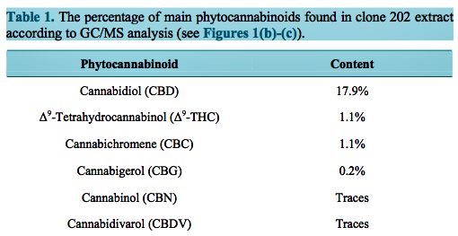 phytocannabinoid  site 3