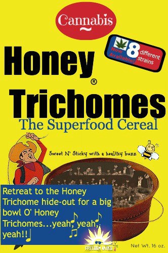 FW II Honey Trichomes