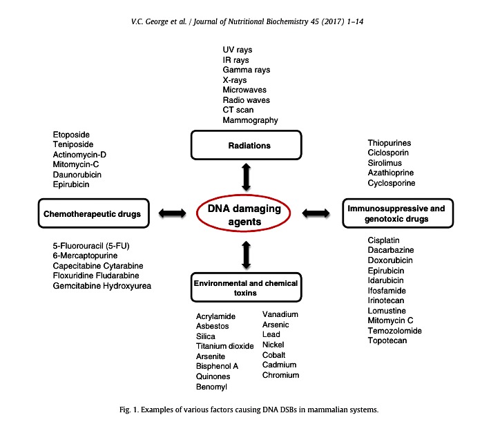 DNA Damaging Agents