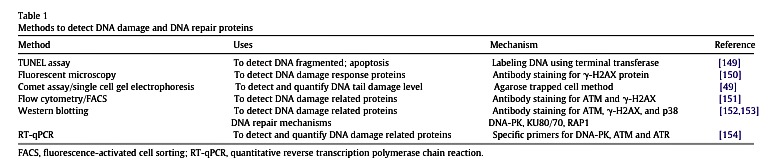 Methods to detect DNA damage