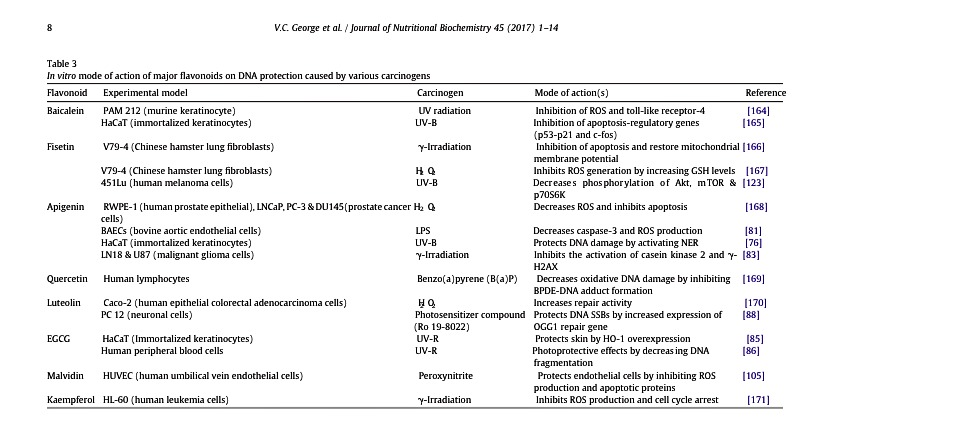 RG Table 3