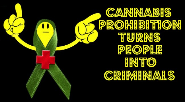 Cannabis Prohibition Turns People Into Criminals THSI Final PSA