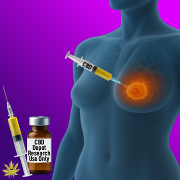 Medical illustration of a female torso with a visible breast tumor being injected by a syringe labeled "CBD." A second syringe and a vial labeled "CBD Depot – Research Use Only" appear beside the figure, representing experimental cannabidiol therapy for triple-negative breast cancer.